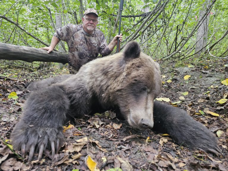 2026 Brown Bear